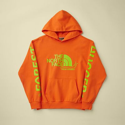 TNF X Online Ceramics Pullover Hoodie | The North Face