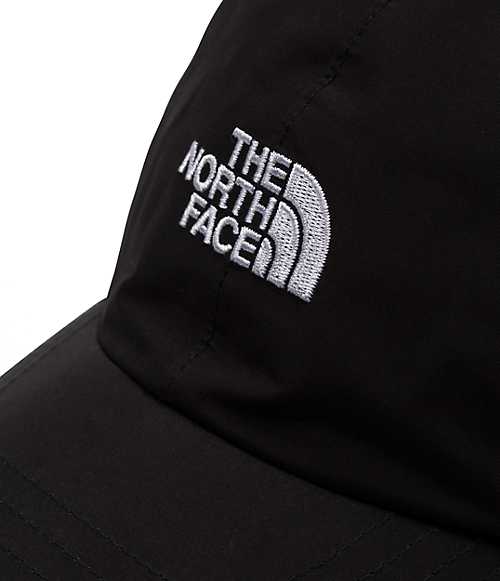 Logo Gore Hat | Free Shipping | The North Face