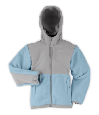 north face polartec recycled