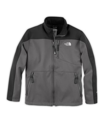 north face tnf apex bionic jacket