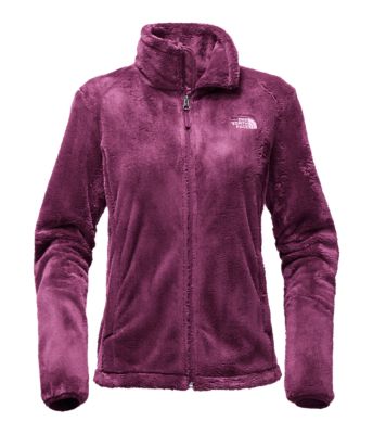 Women's Osito 2 Jacket | Free Shipping | The North Face