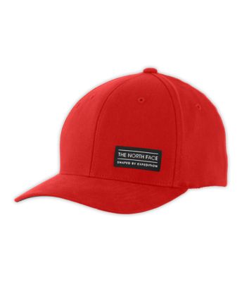 SBE FLEX BALL CAP | The North Face