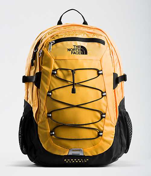 Borealis Classic Backpack | Free Shipping | The North Face