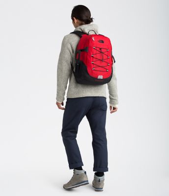 the north face borealis classic backpack