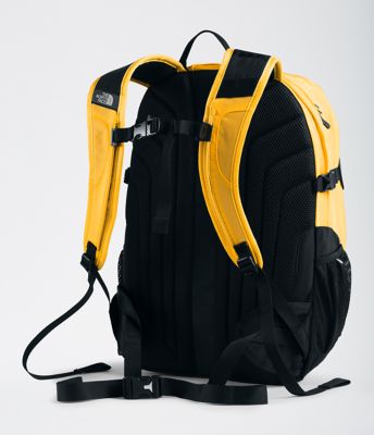 the north face borealis classic backpack 29 litres