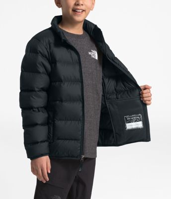the north face b andes jacket