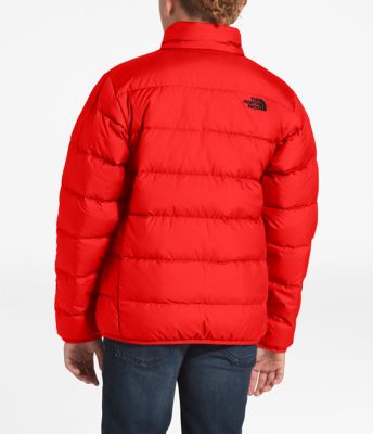 the north face b andes jacket