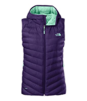 north face hooded vest