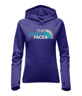 north face fave half dome hoodie