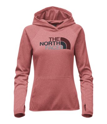 north face fave half dome hoodie