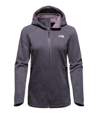 north face far northern hoodie