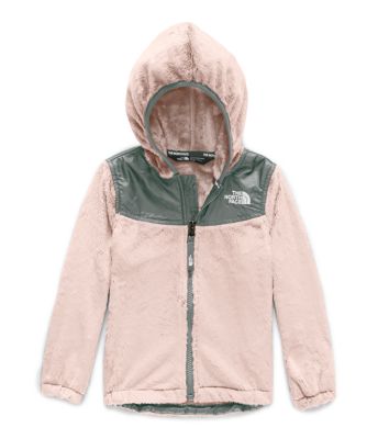 the north face toddler fleece jacket