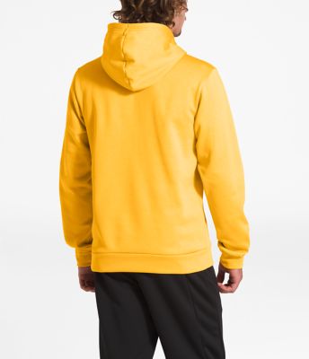 the north face men's surgent half dome 2.0 pullover hoodie