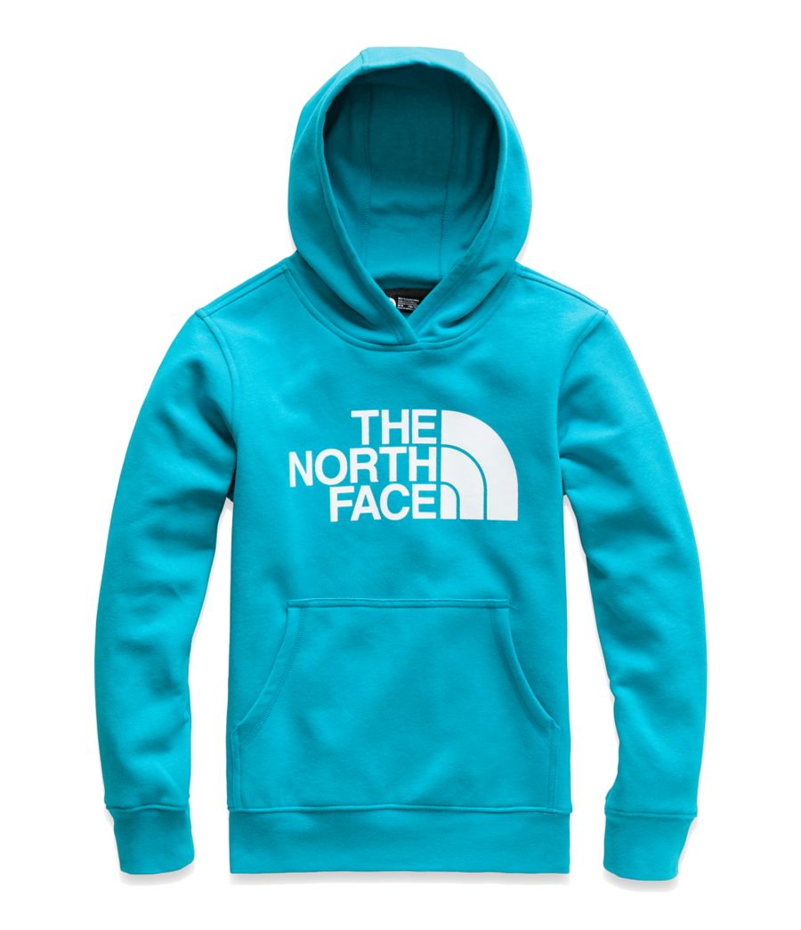 BOYS' LOGOWEAR PULLOVER HOODIE | The North Face