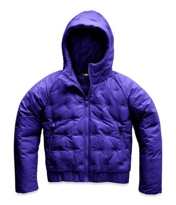 the north face mashup insulated jacket