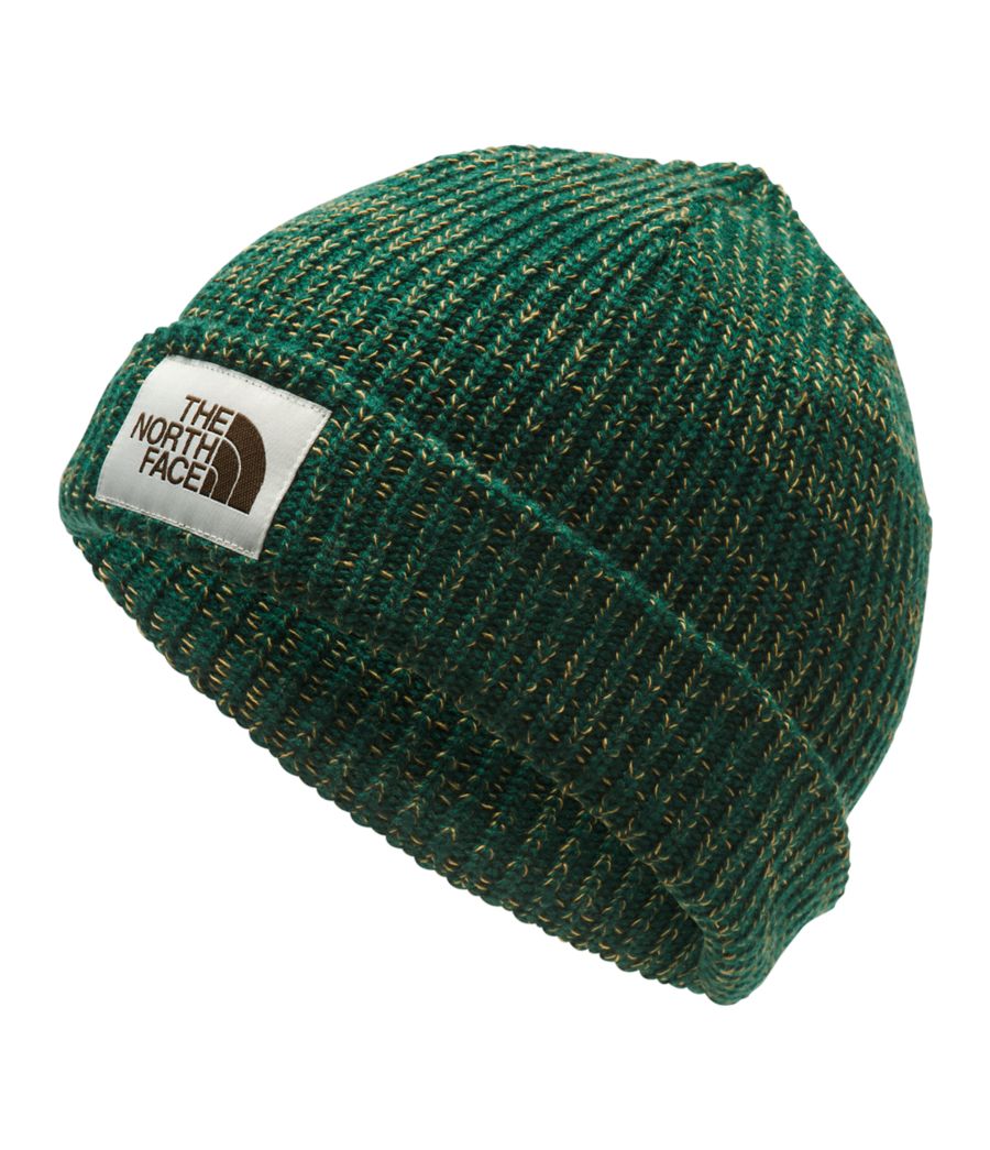 Salty Dog Beanie | Free Shipping | The North Face