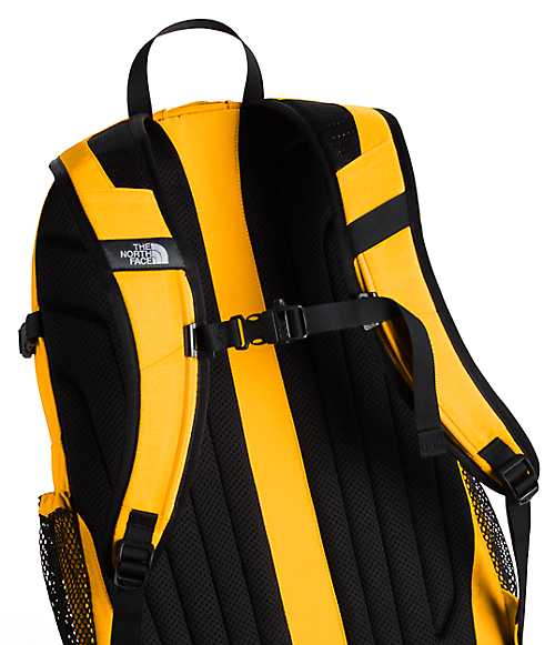 Big Shot Special Edition Daypack | The North Face
