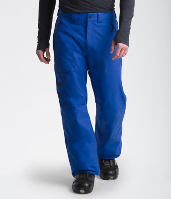 the north face men's seymore ski pants