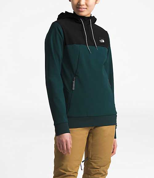 Women's Tekno Hoodie Pullover | The North Face