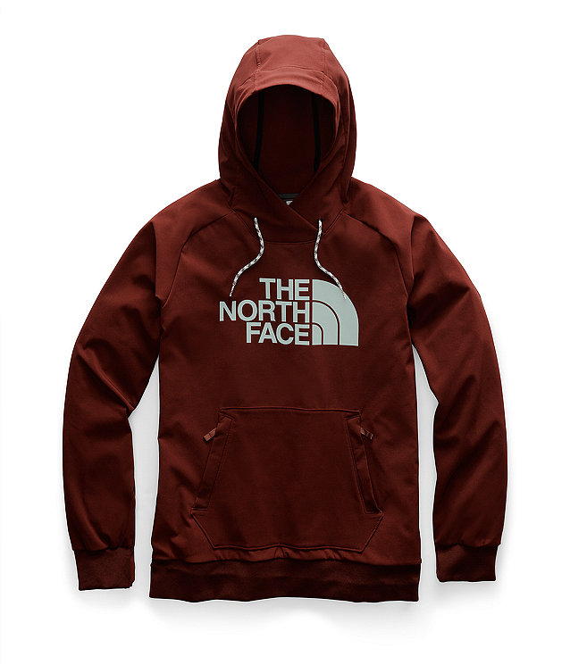 Men’s Tekno Logo Hoodie | The North Face