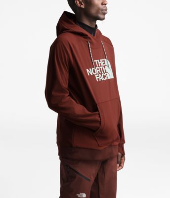 the north face men's tekno logo antarctica hoodie