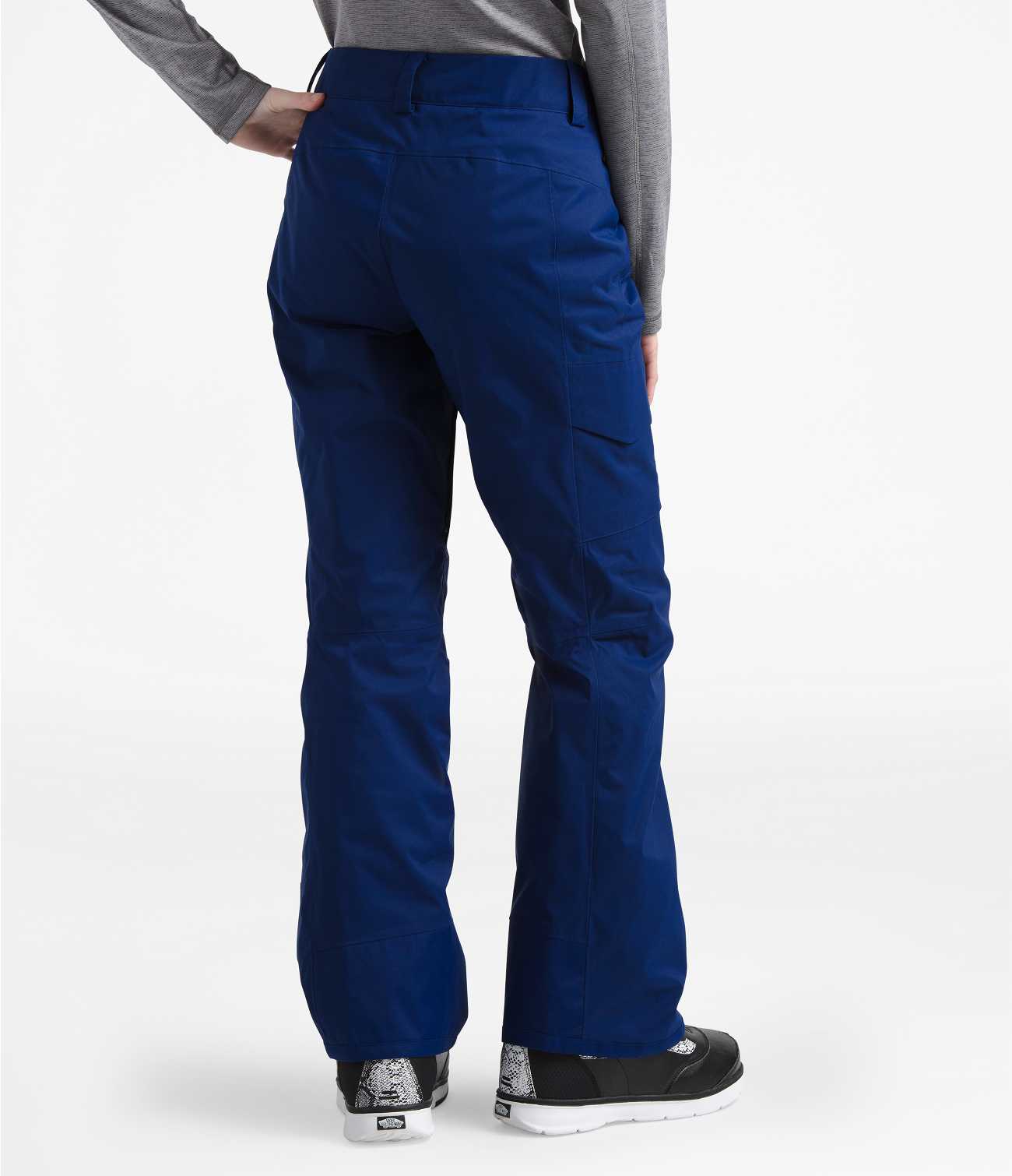 The North Face Freedom Insulated Ski Pant (Women's)