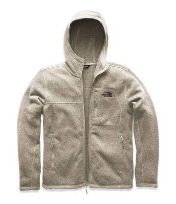 the north face gordon lyons fleece hoodie
