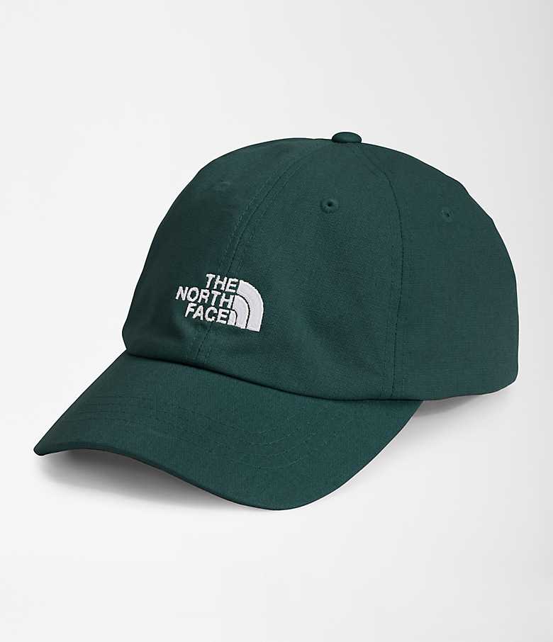 The North Face American Flag Hats for Men