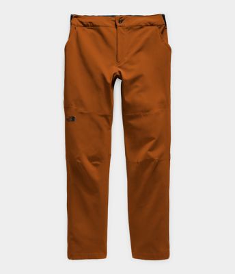 the north face men's paramount active pant
