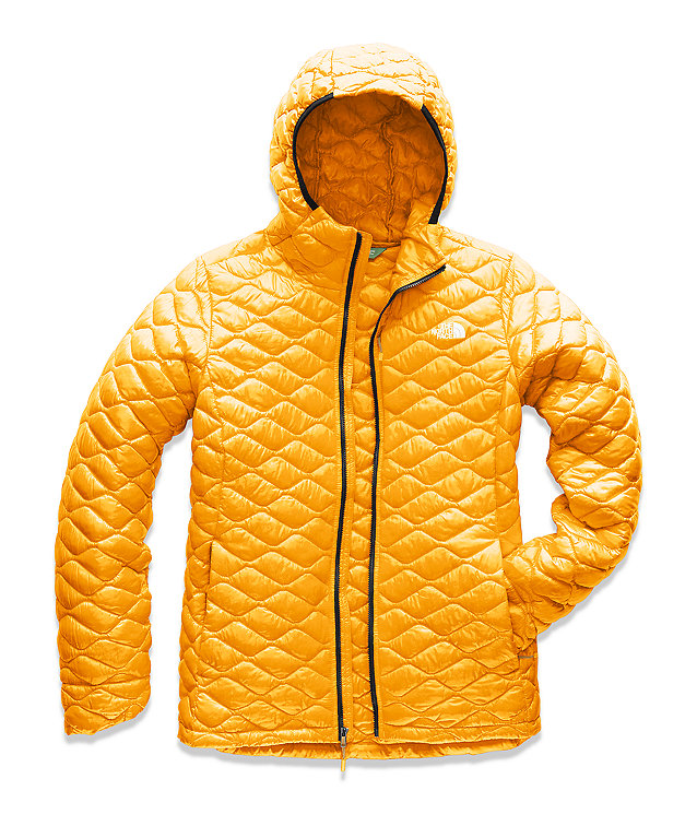 Women's Thermoball Eco Hoodie