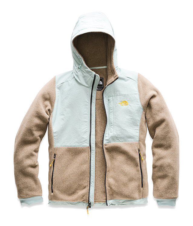 Women S Denali 2 Hoodie Free Shipping The North Face