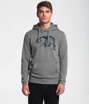 the north face bearscape hoodie