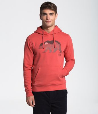 the north face men's bearscape pullover hoodie