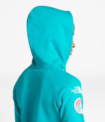 the north face antarctica collectors pullover hoodie