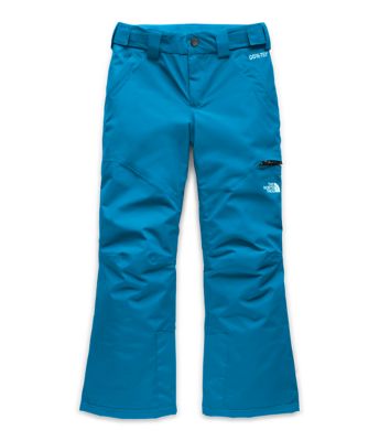 blue north face pants
