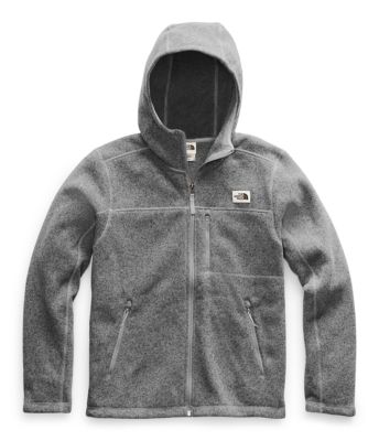 the north face gordon lyons hoodie