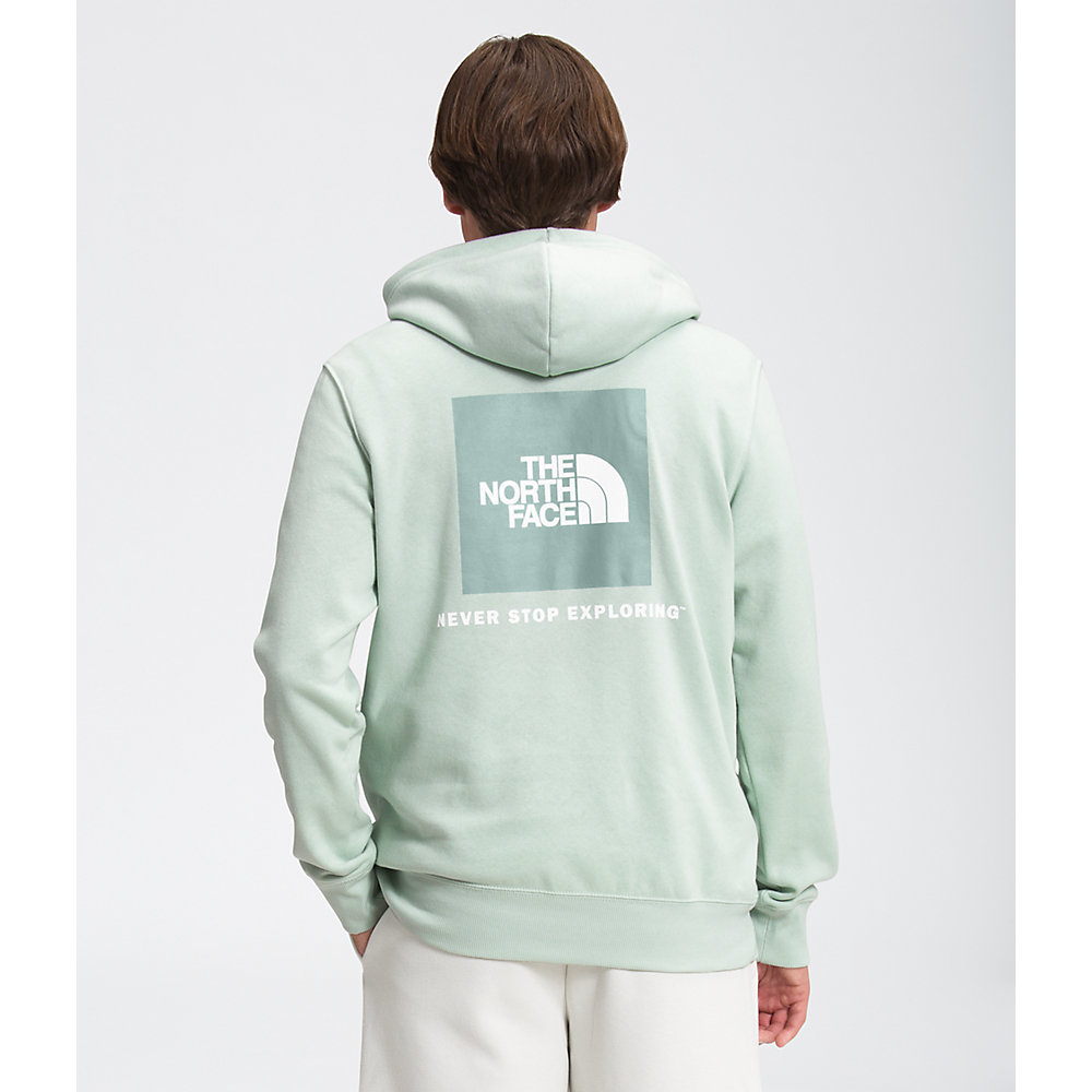 Men S Box Nse Pullover Hoodie The North Face