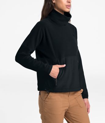 the north face funnel neck pullover hoodie