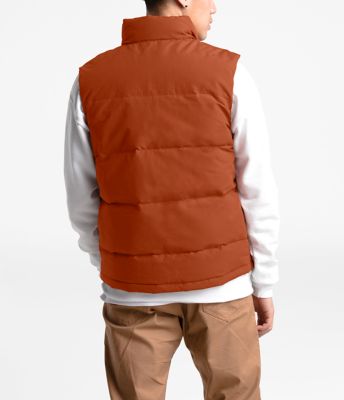 the north face men's sierra down vest