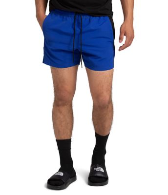 north face relaxed fit shorts