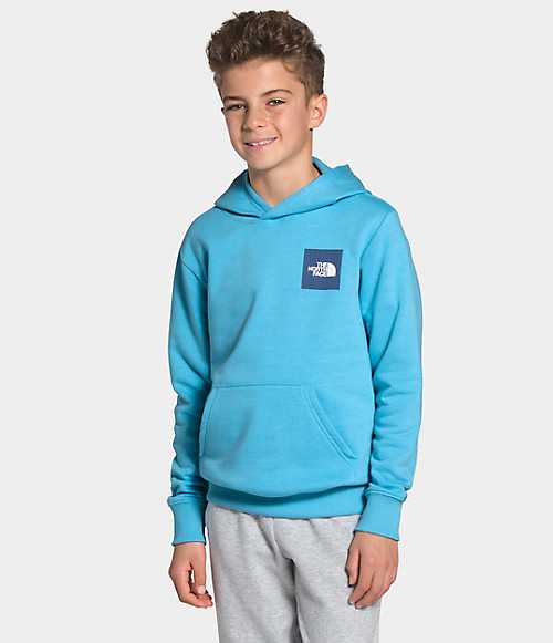 Youth Logowear Pullover Hoodie | The North Face Canada