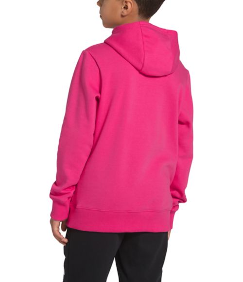 Youth Logowear Pullover Hoodie | The North Face