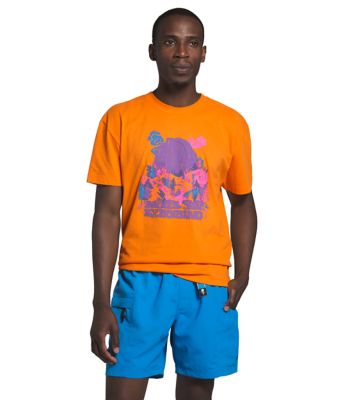 the north face tee