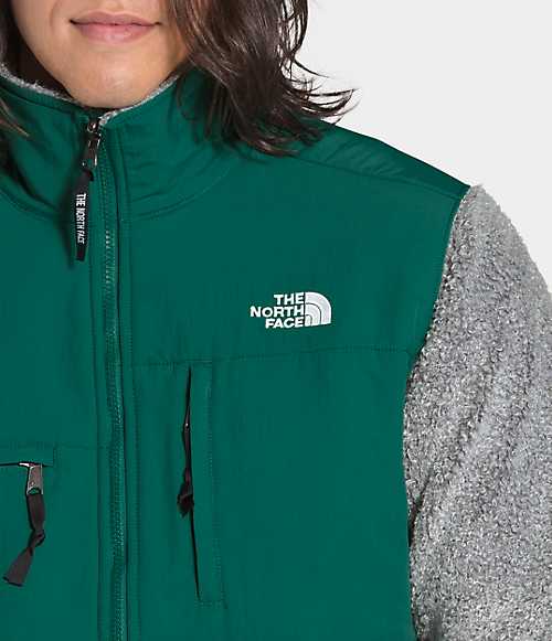 Seasonal Retro Denali Jacket | The North Face