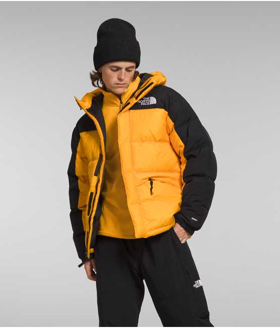 The north face Men’s HMLYN Down Parka