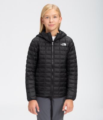 the north face thermoball eco light hoodie