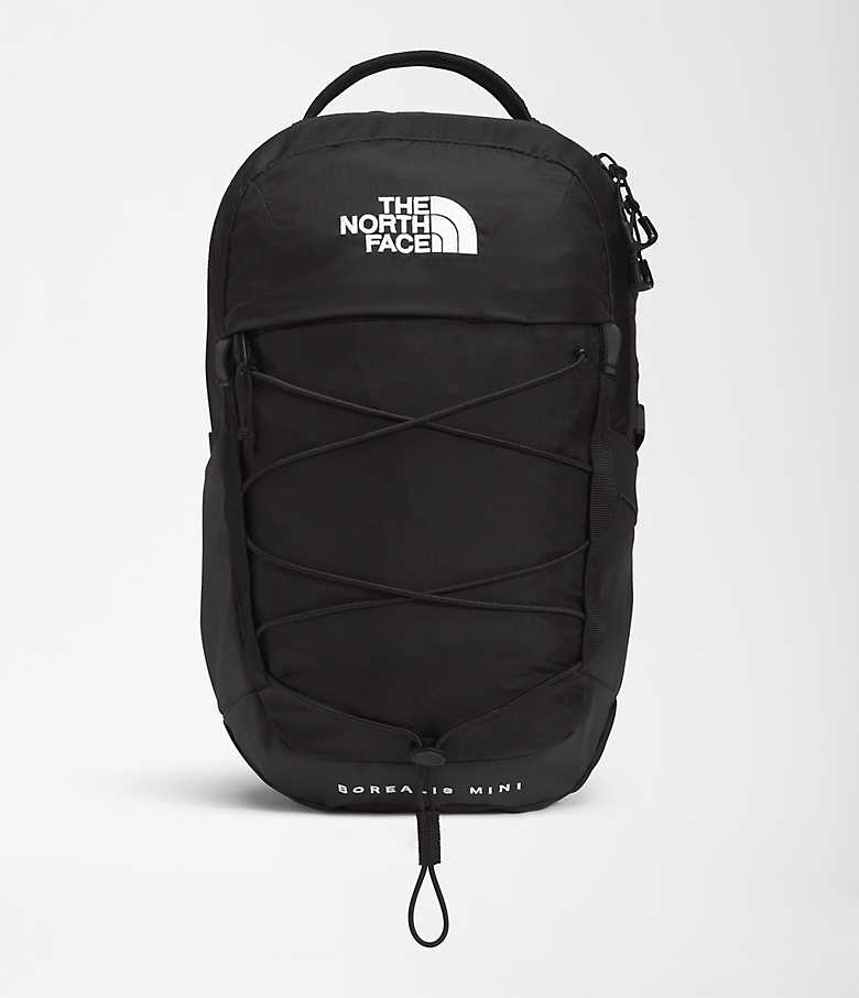 Neerduwen Sportman Snel Borealis Mini Backpack | The North Face