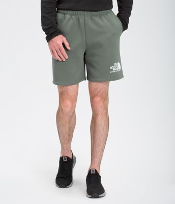 mens north face fleece shorts