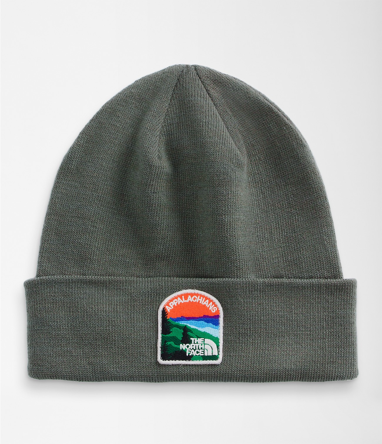 Embroidered Earthscape Beanie | The North Face