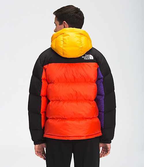 Men's Blocked HMLYN Down Parka | The North Face